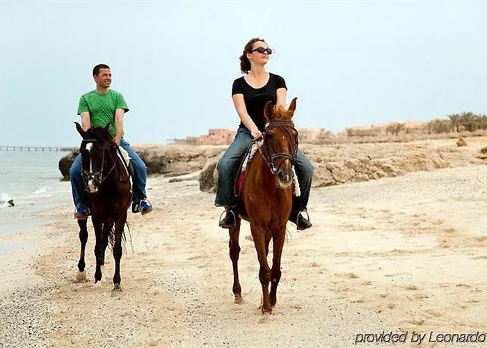 Swissotel El Quseir 4* El Qoseir